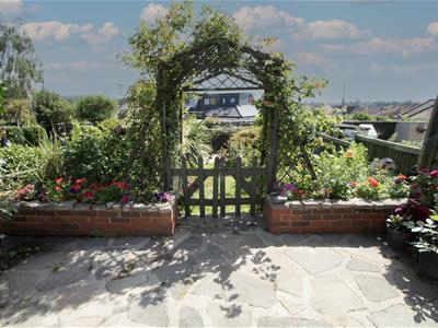 Picture 11